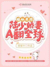 婚从天降,陆少娇妻A翻全球