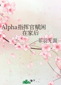 Alpha指揮官賦閒在家後